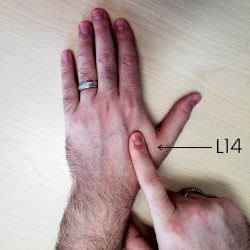 Shows where acupressure point L14 is on the hand