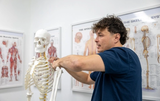 Dryden Benoit manipulating a skeleton model
