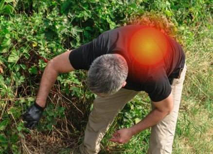A photo showing where pain points might occur on someone doing yard work. 