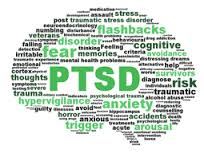 Post-Traumatic Stress Disorder Brain Illustration with Words