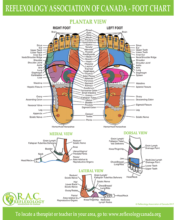 RAC chart of foot reflexology points